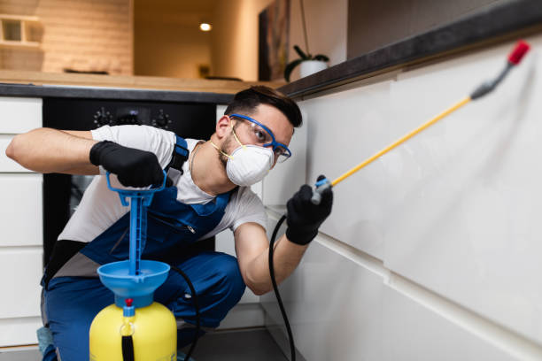 Best Residential Pest Control  in Chesterfield, MO