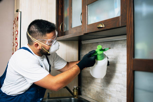Best Termite Control Services  in Chesterfield, MO
