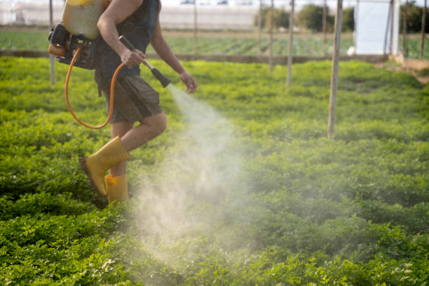 Best Exterminator Services  in Chesterfield, MO