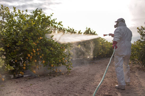 Best Best Pest Control Companies  in Chesterfield, MO