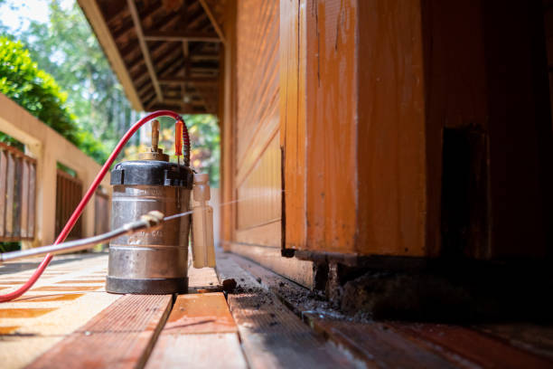 Best Pest Removal Services  in Chesterfield, MO
