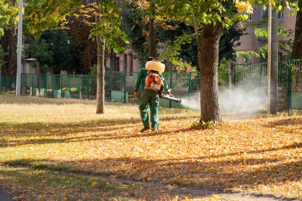Best Affordable Pest Control Services  in Chesterfield, MO