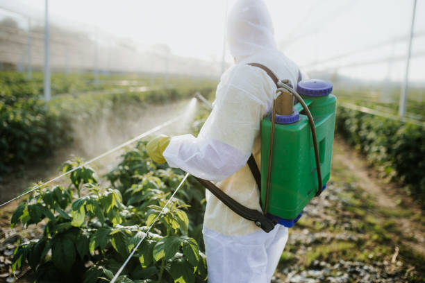 Best Bed Bug Extermination  in Chesterfield, MO